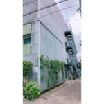 ombrage(オンブラージュ) ombrage(オンブラージュ)