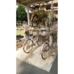 プライムアーバン武蔵小金井Ⅱ 画像18 プライムアーバン武蔵小金井Ⅱ 画像18