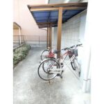 サンパティー 画像16