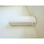 ｒａｆｆｉｎｏ　ｔａｍａｇａｗａ（ラフィーノタマガワ） 画像12