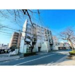 ｒａｆｆｉｎｏ ｔａｍａｇａｗａ（ラフィーノタマガワ）