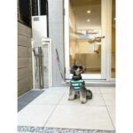 クアードロ223中野 画像12 クアードロ223中野 画像12