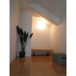 ロフト 家具は参考(内装) ロフト 家具は参考(内装)